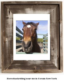 horseback riding near me in Coram, New York